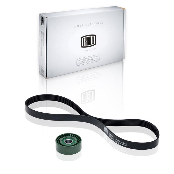 Ремкомплект генератора TRIALLI GD618