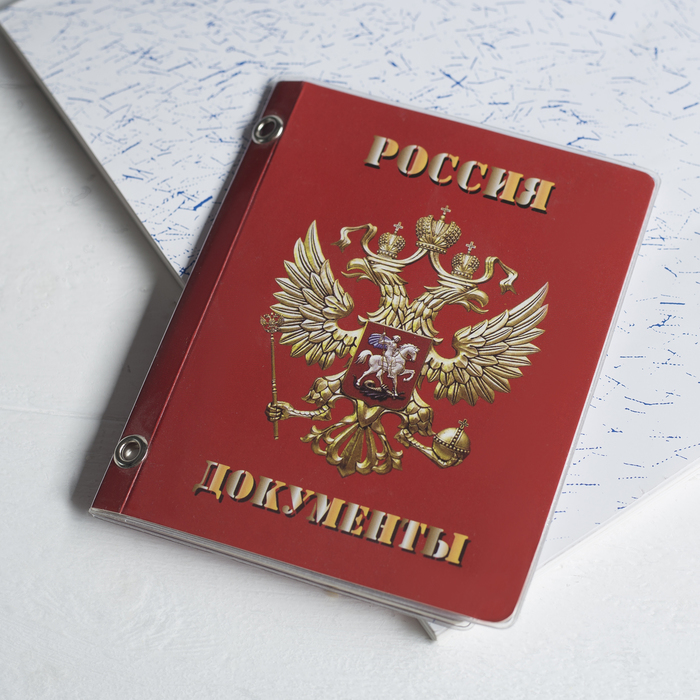 Обложка для документов, набор, цвет красный