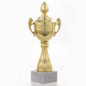Кубок спортивный, золото, 21 × 8,5 × 6,8 см
