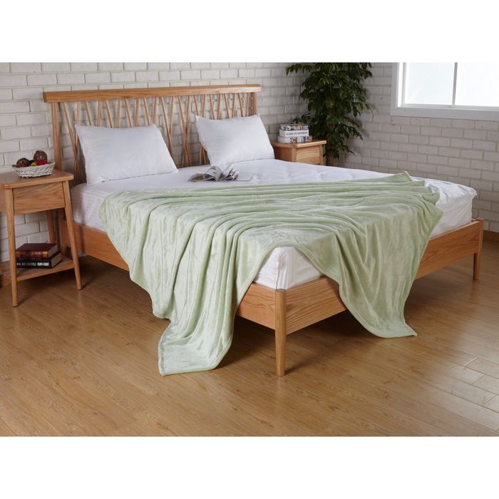 Плед велсофт Elza, размер 200х220 см, цвет светло-зелёный 5085