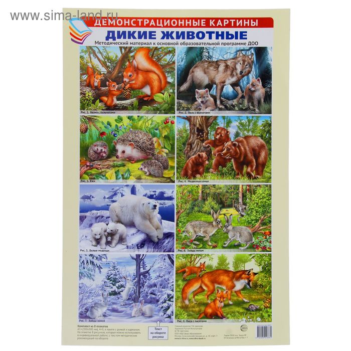 Демонстрационные картины Дикие животные 8 плакатов, А3+ демонстрационные картины дикие животные