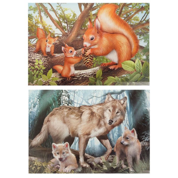 Демонстрационные картины "Дикие животные" 8 плакатов, А3+