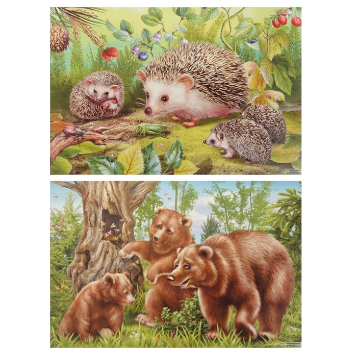 Демонстрационные картины "Дикие животные" 8 плакатов, А3+