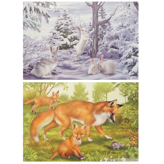 Демонстрационные картины "Дикие животные" 8 плакатов, А3+