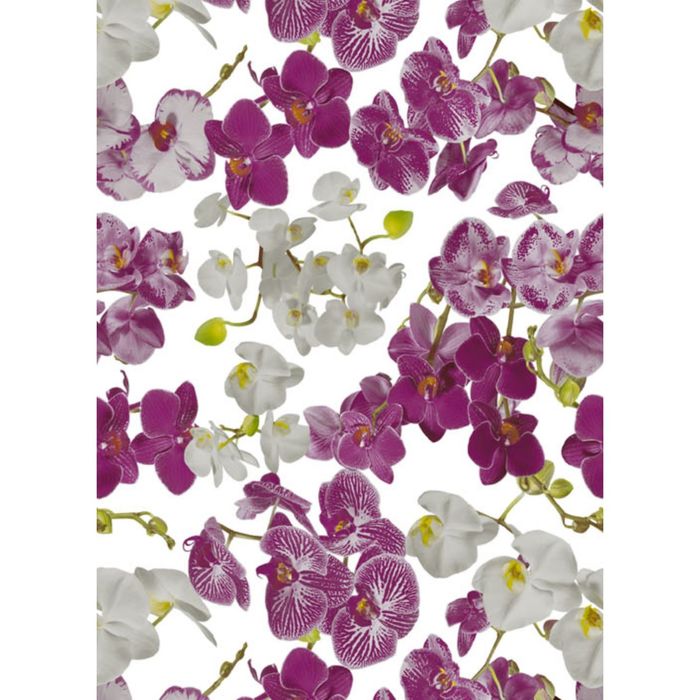 Клеенка столовая, ширина 140 см "Wondertex. Орхидеи", рулон 20 м