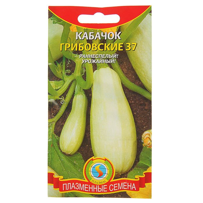 Семена Кабачок "Грибовские 37", 12 шт
