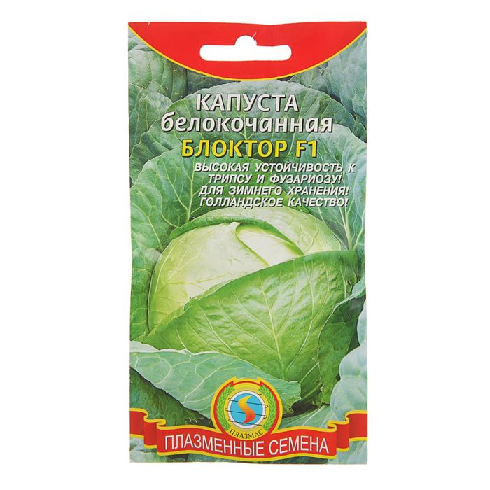 Семена Капуста белокочанная "Блоктор" F1, 10 шт