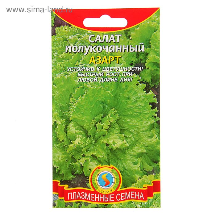 

Семена Салат полукочанный "Азарт", 0,5 г
