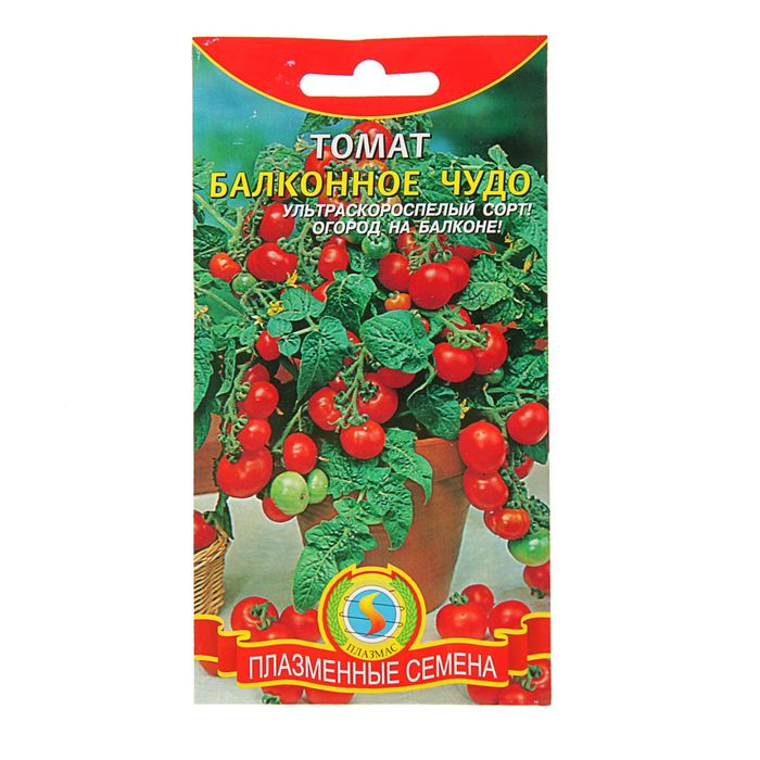 Семена Томат "Балконное чудо", раннеспелый, низкорослый, 20 шт