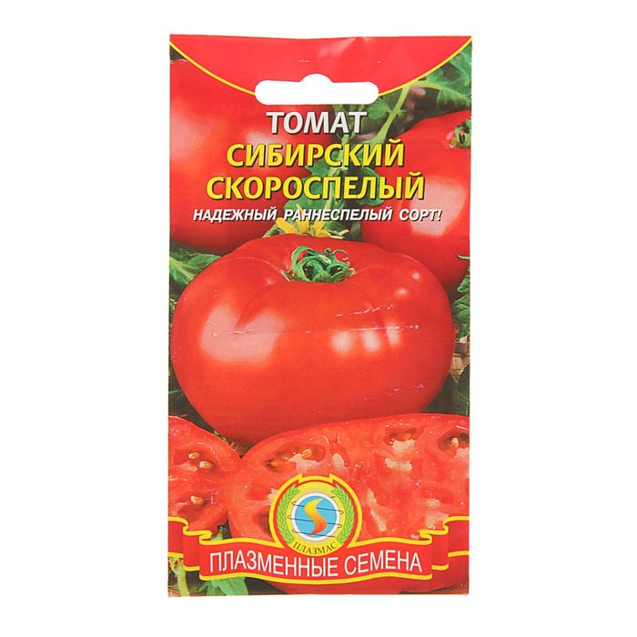 томаты сибирской селекции. томат сибирские яблочки. семена томатов для сибири. семена томат сибирский скороспелый. лучшие семена томатов.