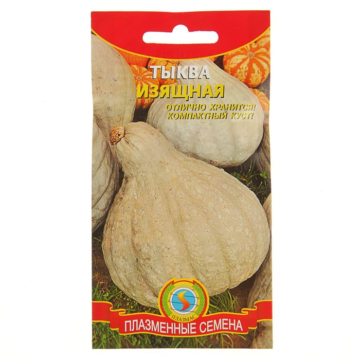 Семена Тыква "Изящная", 2 г