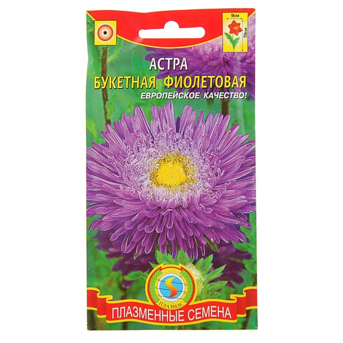 Семена Астра Букетная, фиолетовая, 0,3 г