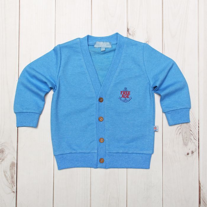 Джемпер для мальчика, рост 74 см, цвет голубой