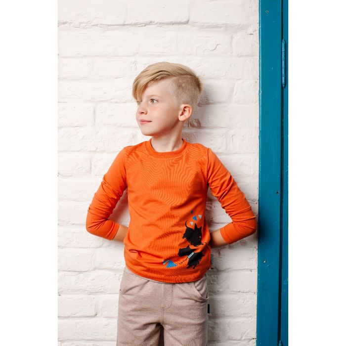 Джемпер для мальчика, рост 122 см, цвет терракотовый 152-315-51
