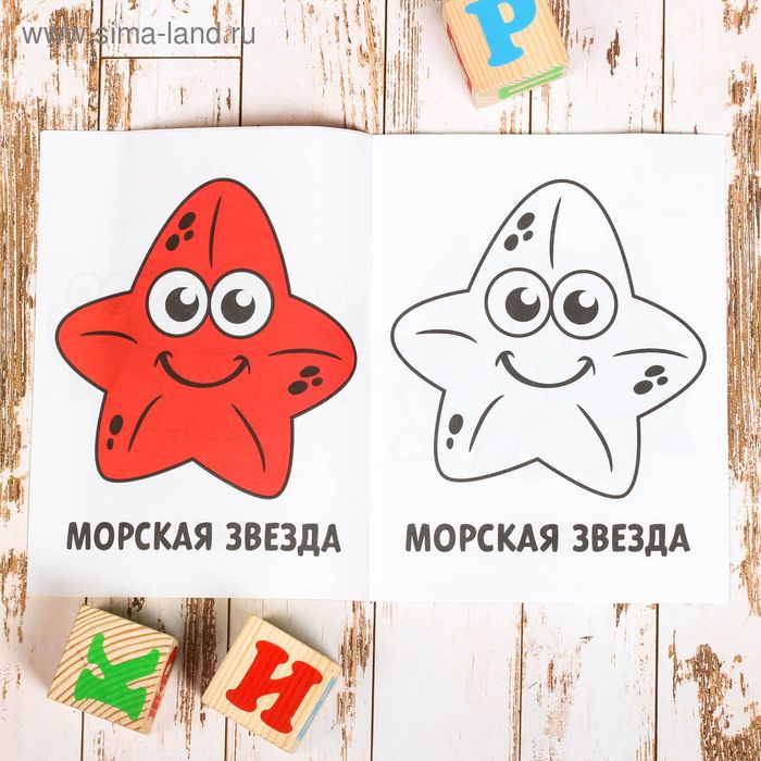 

Раскраска «Подводный мир», 16 стр.