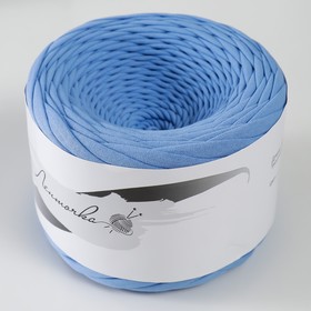 

Пряжа трикотажная широкая 100м/320±30гр, ширина нити 7-9 мм (голубой)