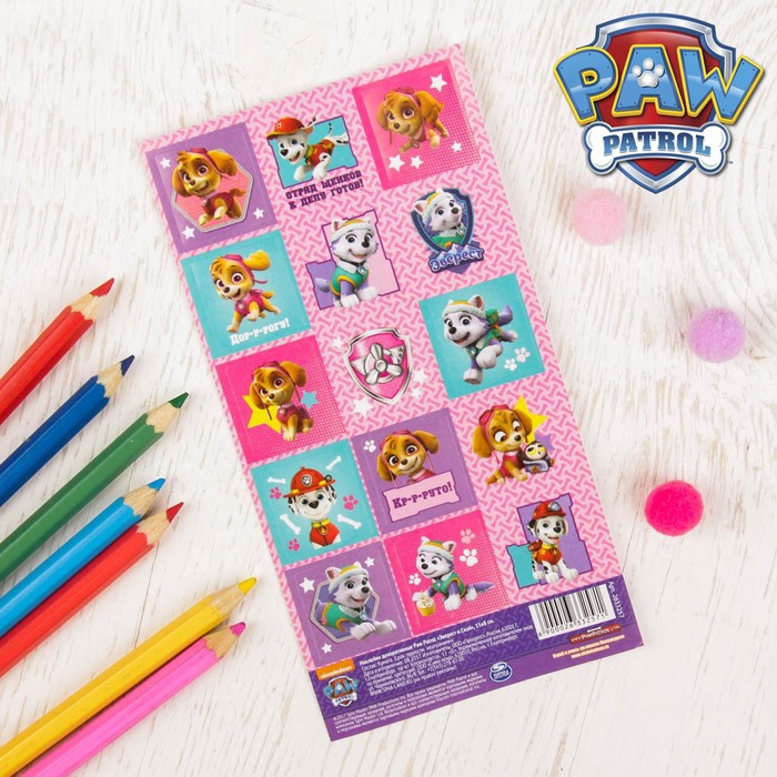 Щенячий патруль. Наклейки детские "Эверест и Скай", 15х8 см