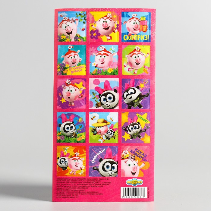 Наклейки детские декоративные СМЕШАРИКИ "Какая красота!" Нюша и Панди, 15 х 8 см