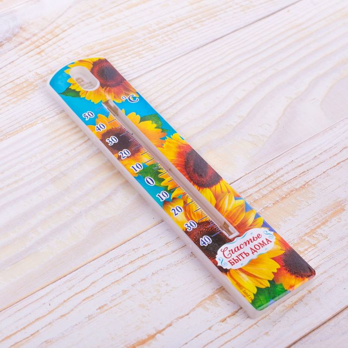 Термометр уличный "Счастье быть дома", 19,7 х 4,5 см