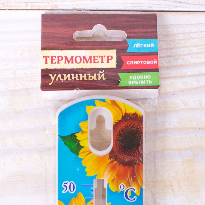 Термометр уличный "Счастье быть дома", 19,7 х 4,5 см