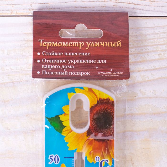 Термометр уличный "Счастье быть дома", 19,7 х 4,5 см