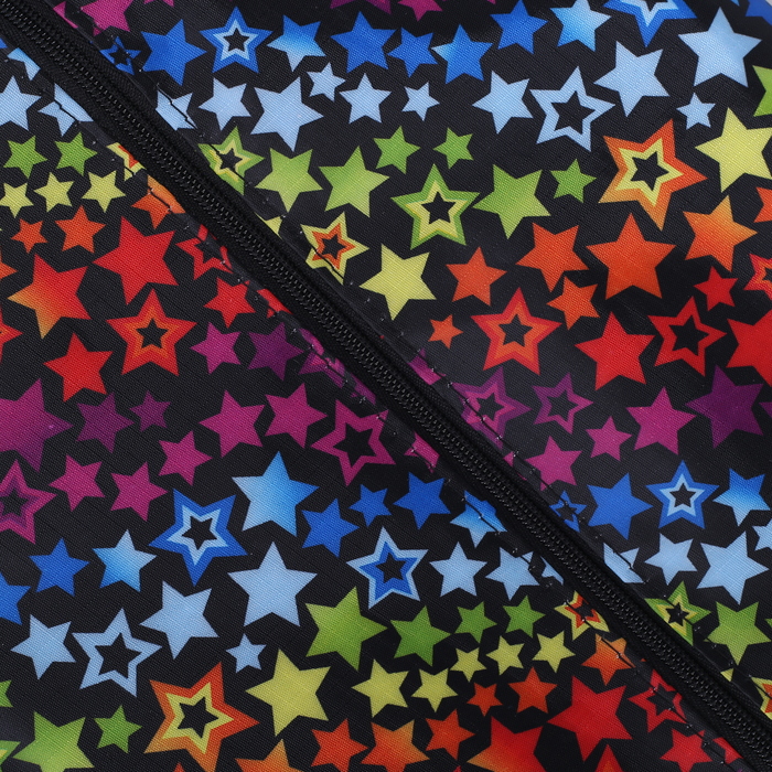 Сумка для обуви на молнии, 1 отдел, цвет чёрный/разноцветный