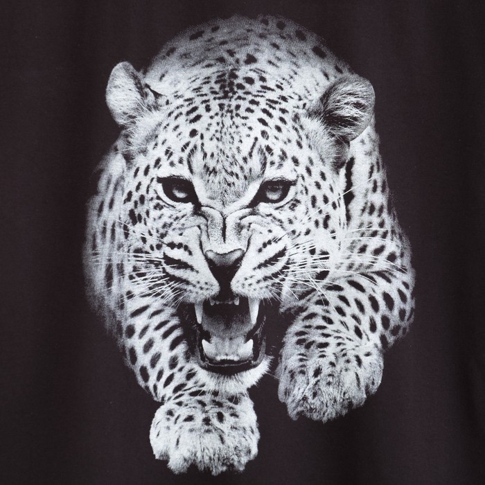 Комплект женский (футболка, бриджи) КФБ210 цвет МИКС, р-р 54