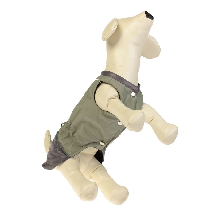 Попона демисезонная, зеленая, размер L (ДС 28 см, ОГ 45 см, ОШ 29 см)