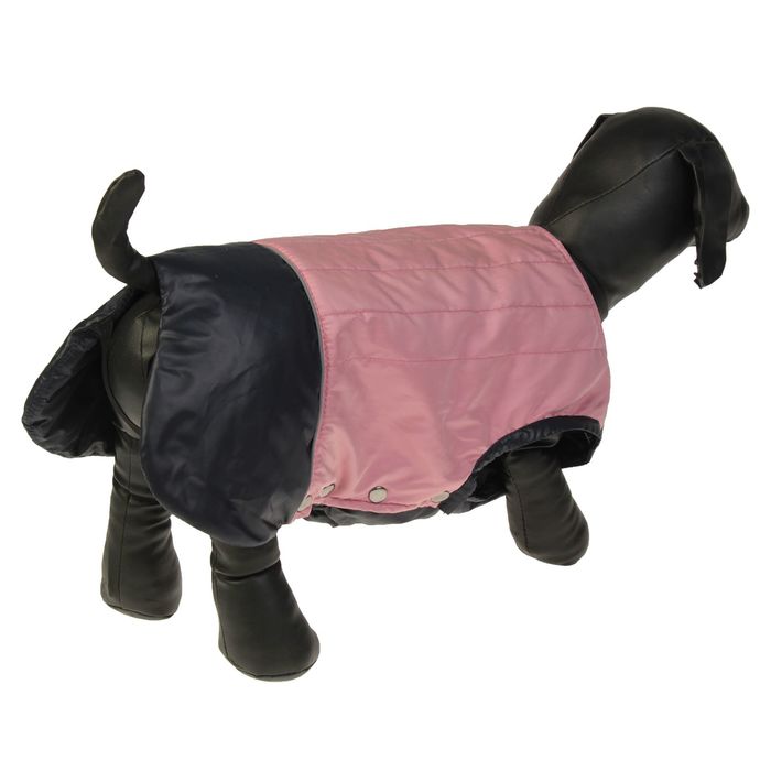 Попона, пурпурная, размер 36 (ДС 36 см, ОГ 55 см, ОШ 42 см)