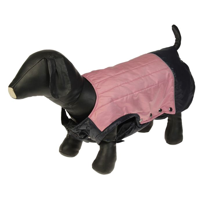 Попона, пурпурная, размер 40 ( ДС 40 см, ОГ 60 см, ОШ 45 см)