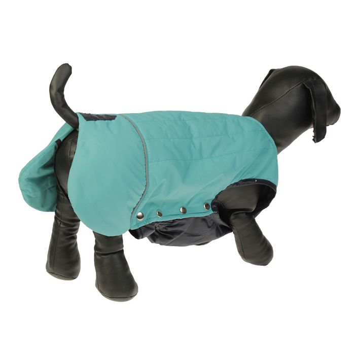 Попона, бирюзовая, размер 45 (ДС 45 см, ОГ 64 см, ОШ 47 см)