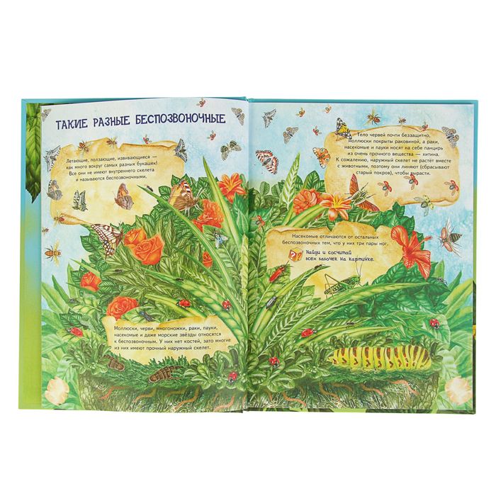 Я хочу все знать! Большая книга о насекомых и не только