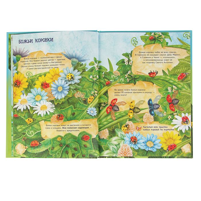 Я хочу все знать! Большая книга о насекомых и не только