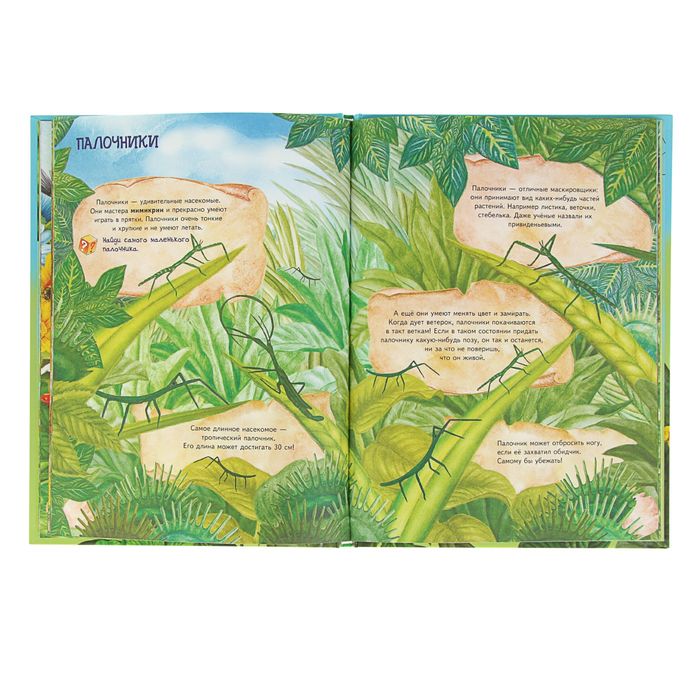Я хочу все знать! Большая книга о насекомых и не только