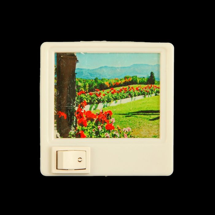 Ночник "Пейзаж" LED (220V) МИКС 1,5x7x7 см