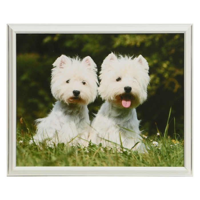 Картина "Друзья" 38*31 см