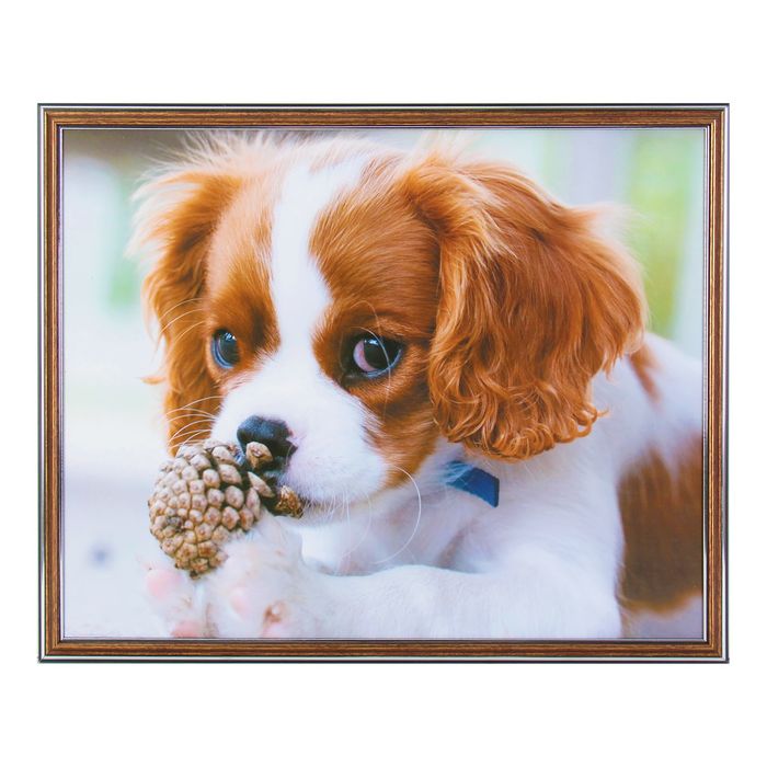 Картина "Щенок с шишкой" 42*52 см