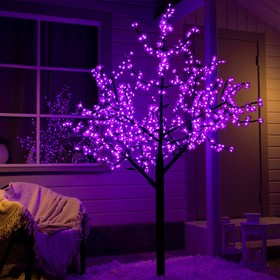 Светодиодное дерево «Баугиния» 2 м, 864 LED, постоянное свечение, 220 В, свечение фиолетовое