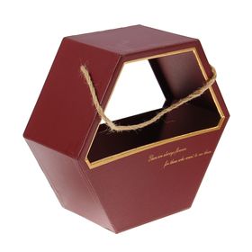 

Переноска для цветов, бордовый, 22 х 22 х 10 см