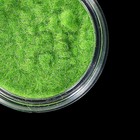 Флок для декора, цвет зелёный