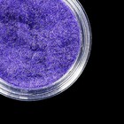 фиолетовый фиолетовый