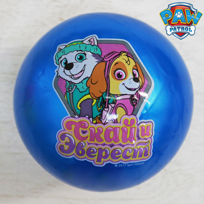 Щенячий патруль. Мяч детский "ВМЕСТЕ МЫ СИЛА" 22 см, 60 гр, цвета МИКС