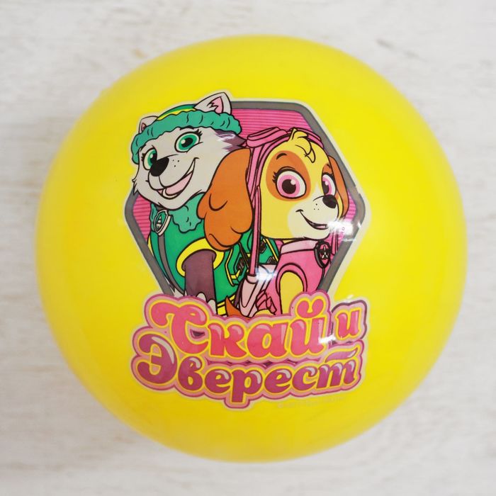 Щенячий патруль. Мяч детский "ВМЕСТЕ МЫ СИЛА" 22 см, 60 гр, цвета МИКС