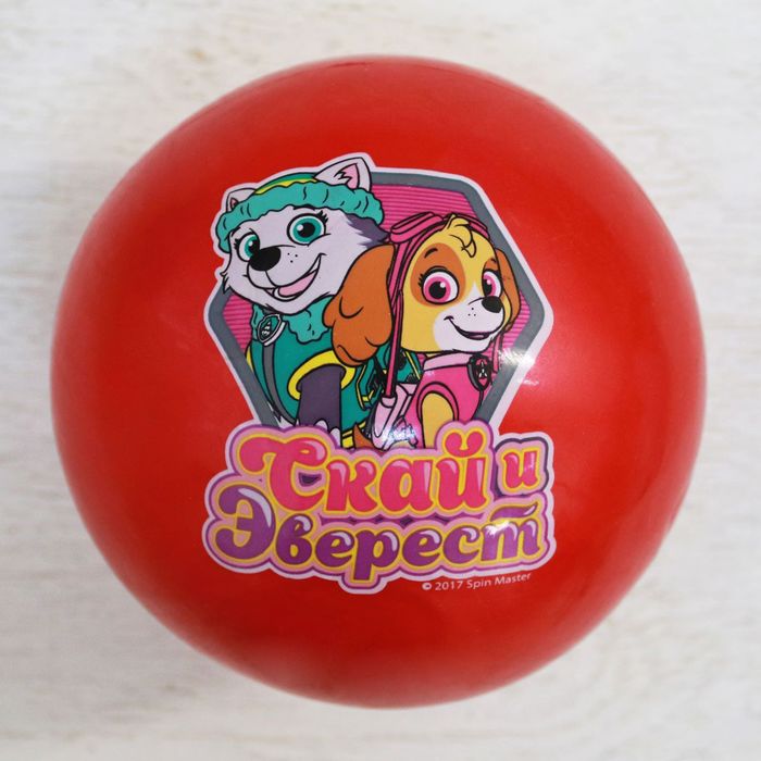 Щенячий патруль. Мяч детский "ВМЕСТЕ МЫ СИЛА" 22 см, 60 гр, цвета МИКС