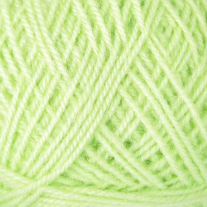 Пряжа "Зимняя" 50% шерсть, 50% ПАН 345м/100гр (Фисташковое мороженое)