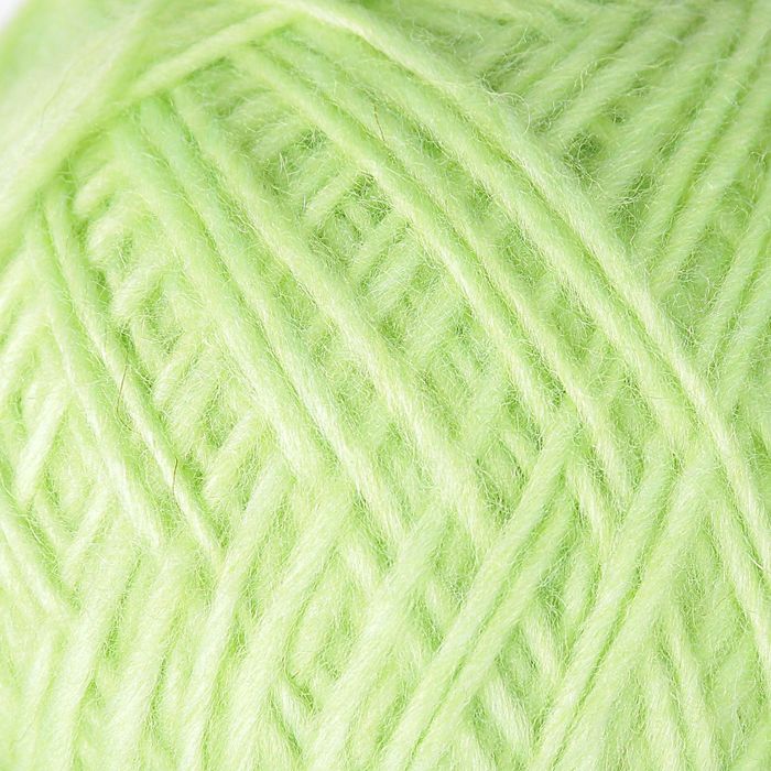 Пряжа "Дивная" 50% шерсть, 50% ПАН 260м/100гр (Фисташковое мороженое)