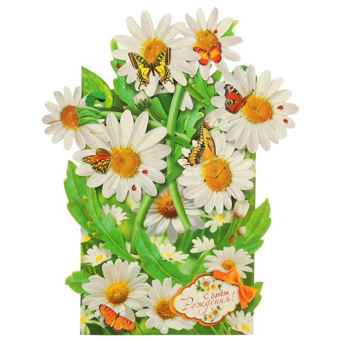 Открытка сложно-техническая "С Днем Рождения!" трехмерная, ромашки, супергигант