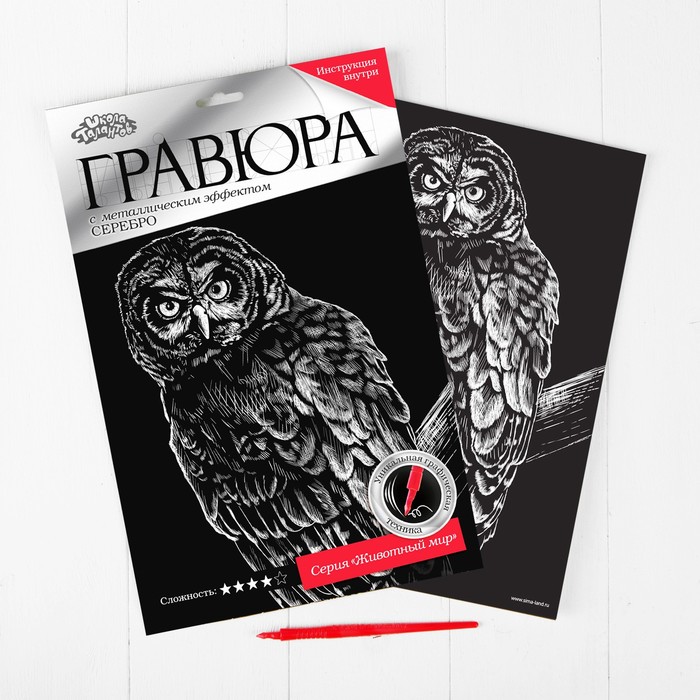Гравюра "Сова", металлический эффект "серебро", 21 х 30 см