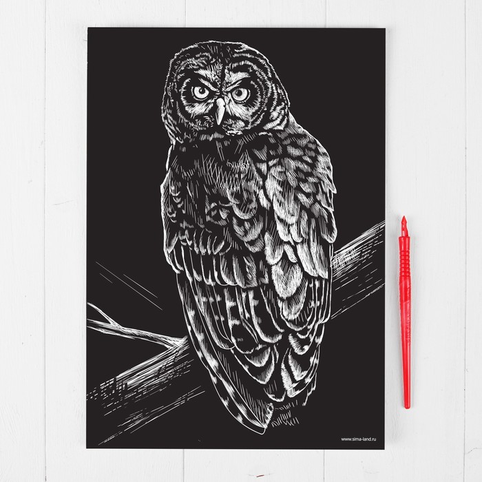 Гравюра "Сова", металлический эффект "серебро", 21 х 30 см