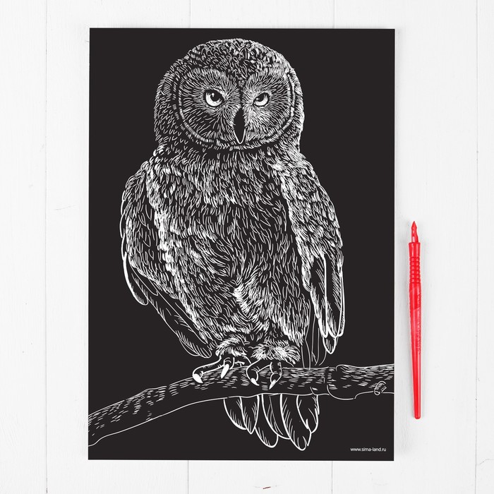 Гравюра "Сова", металлический эффект "серебро", 21 х 30 см